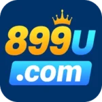899u game