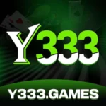 y333